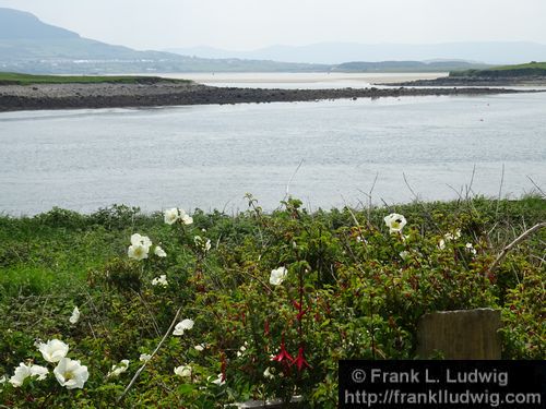 Rosses Point